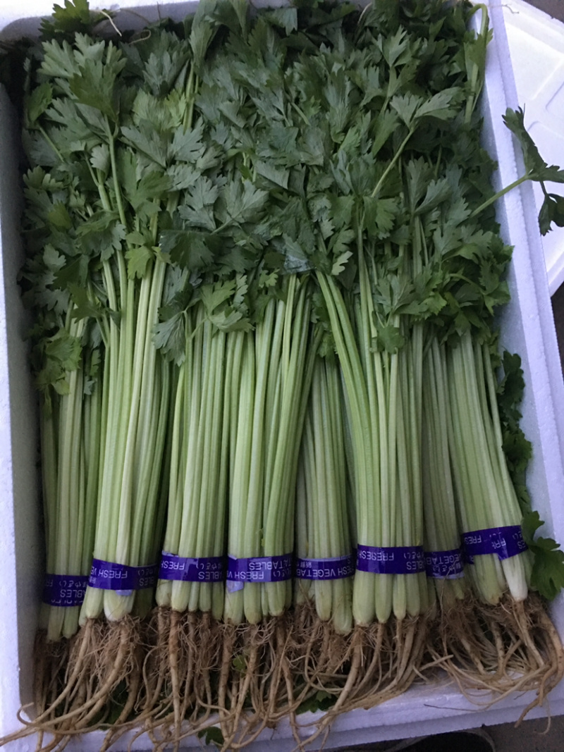 香芹