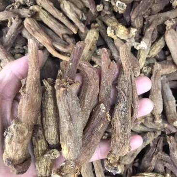 红参，无糖红参枝条，