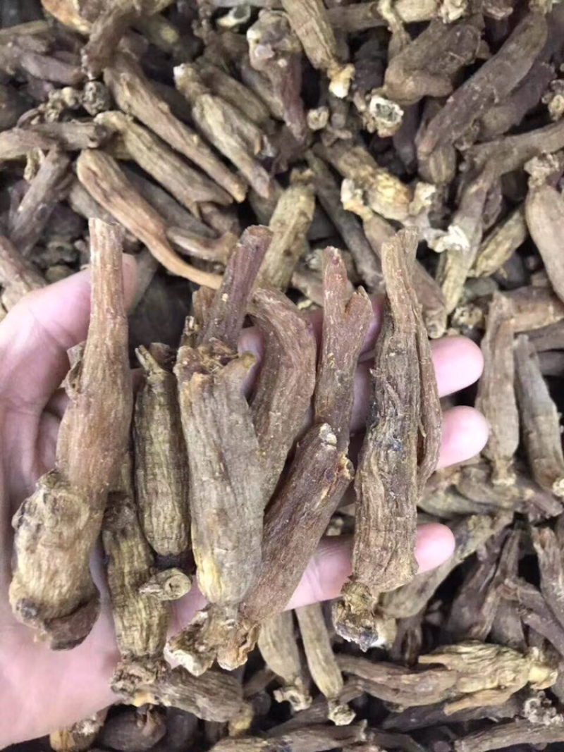 红参，无糖红参枝条，