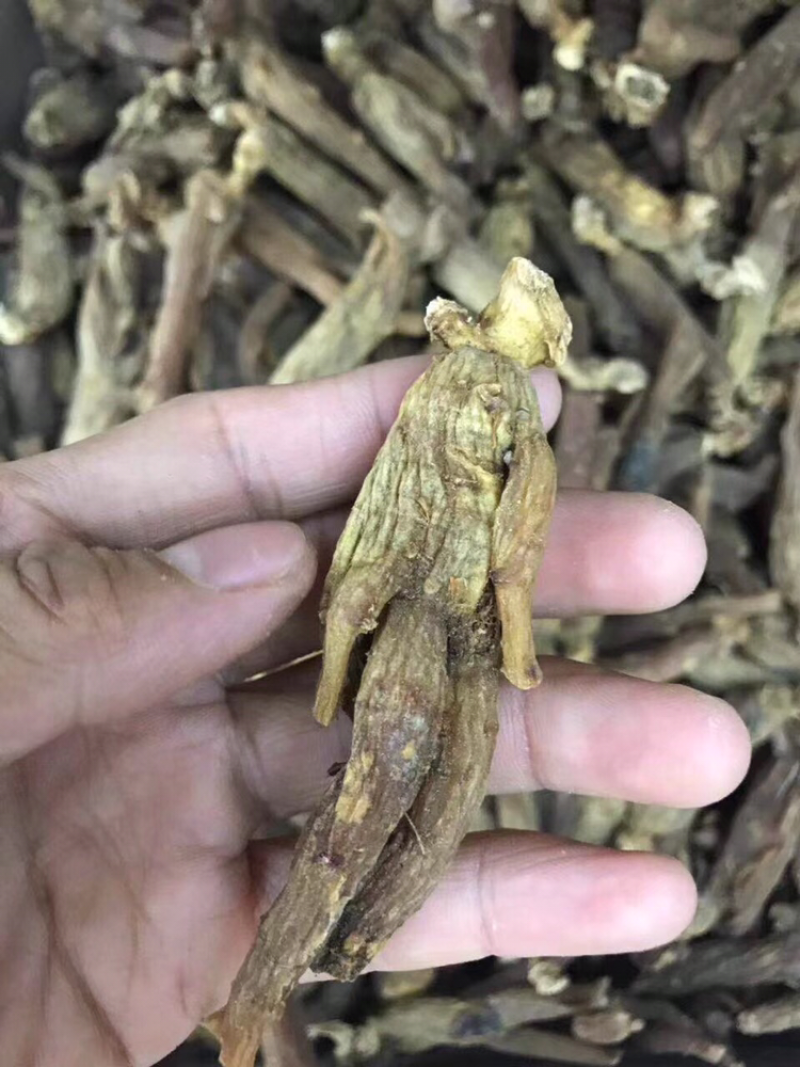 红参，无糖红参枝条，
