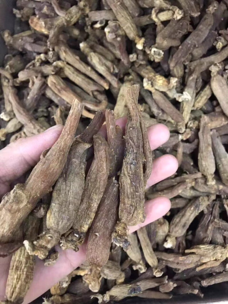 红参，无糖红参枝条，
