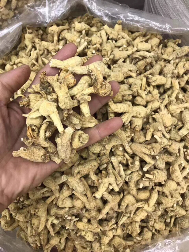 花旗参，3～4克头