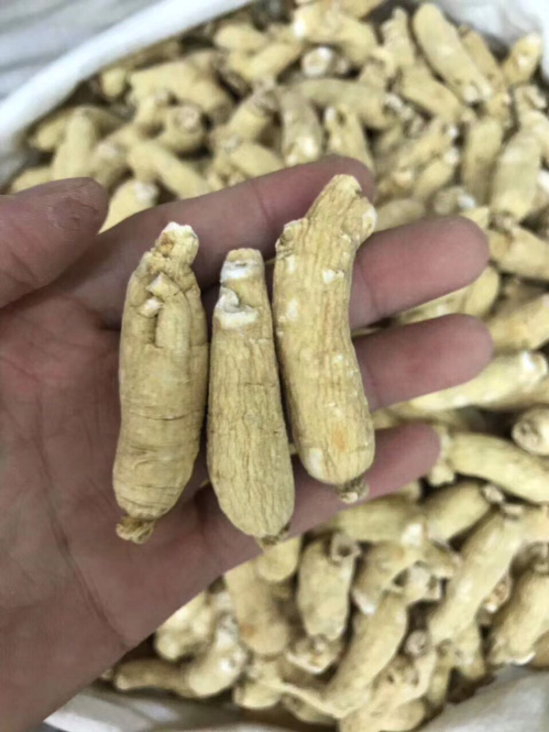 花旗参，7～8克头