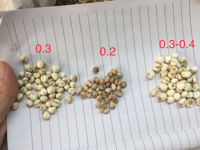 川贝无硫各种规格批发