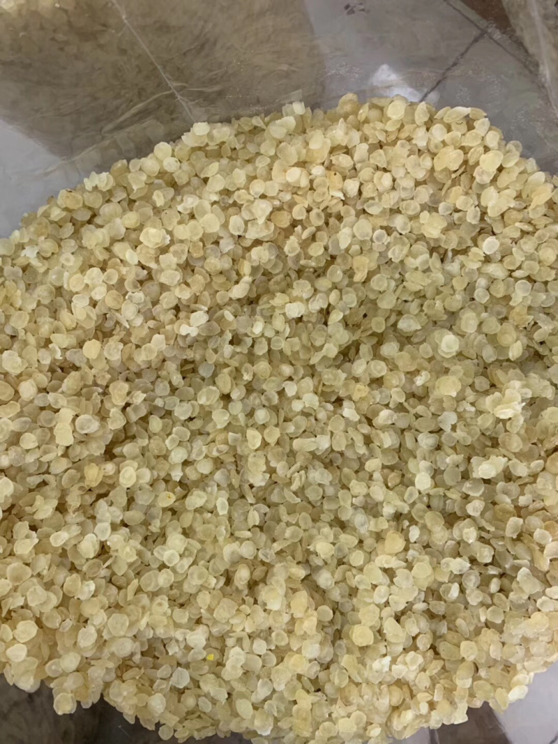 皂角米大厚肉各规格批发