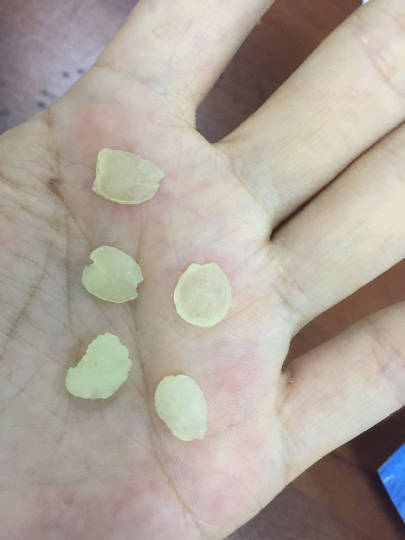 皂角米大厚肉各规格批发