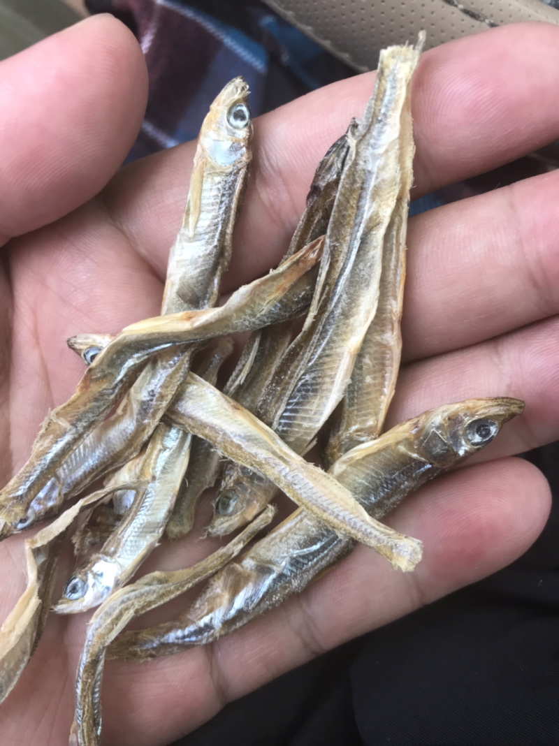 鱼干冰鱼干
