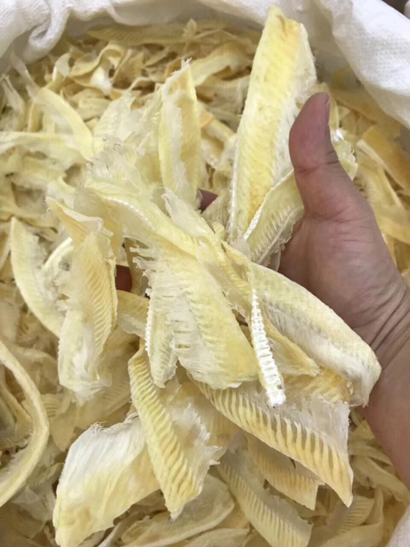 鱼翅/带有些翅针/图片实拍