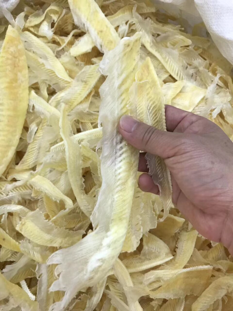 鱼翅/带有些翅针/图片实拍
