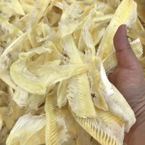 鱼翅/带有些翅针/图片实拍