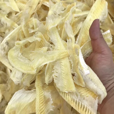鱼翅/带有些翅针/图片实拍