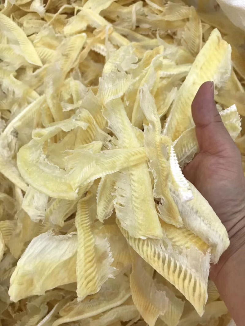 鱼翅/带有些翅针/图片实拍