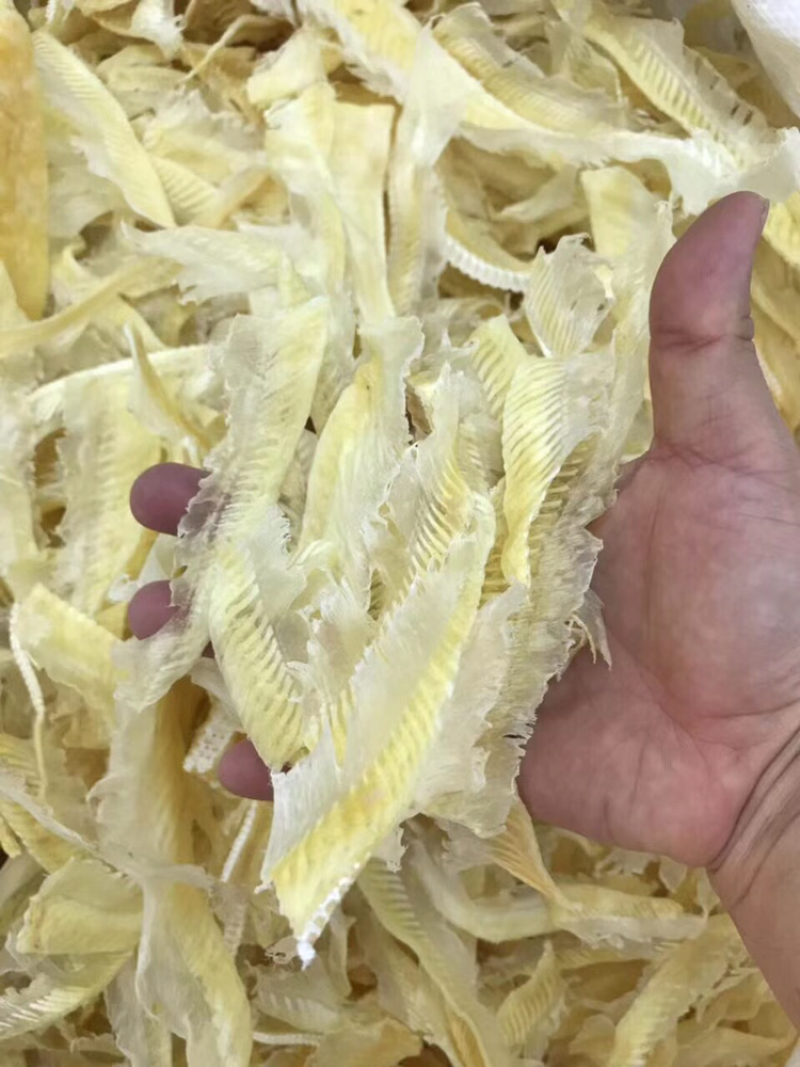 鱼翅/带有些翅针/图片实拍