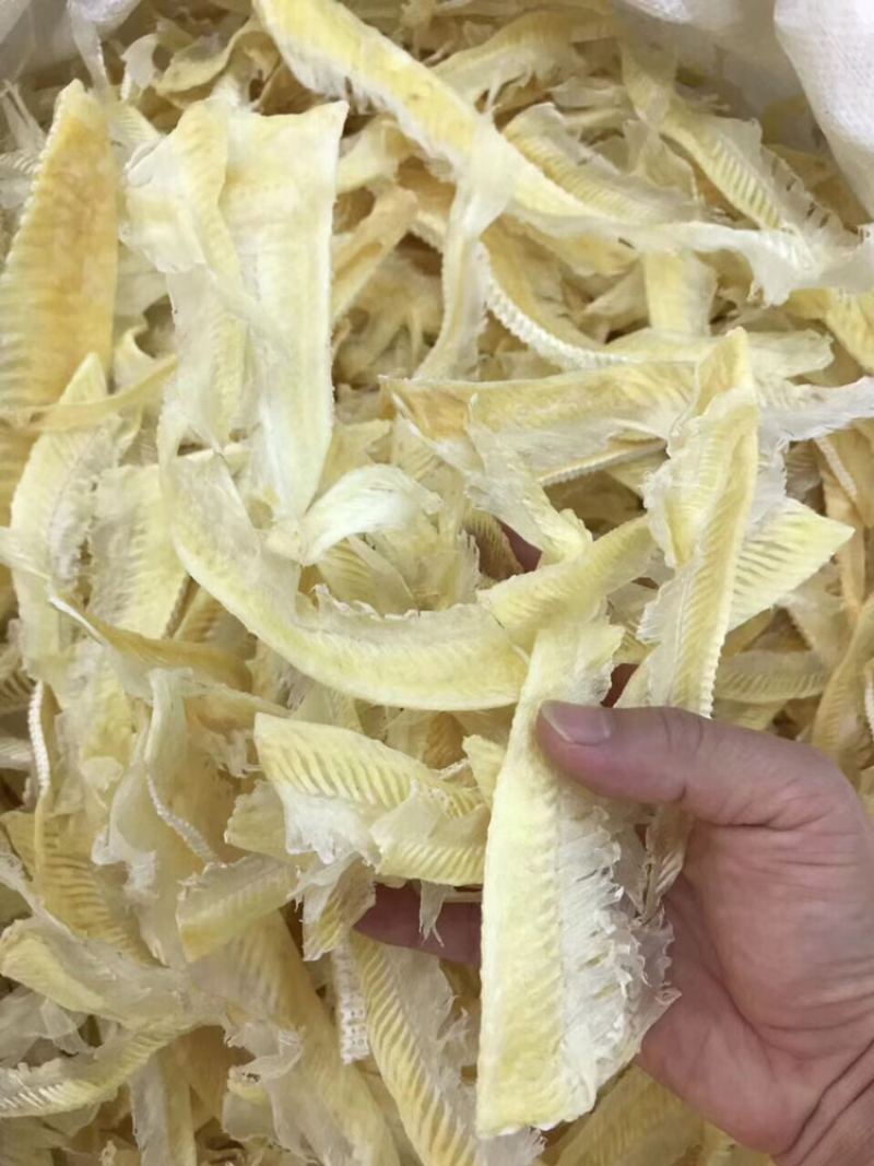 鱼翅/带有些翅针/图片实拍