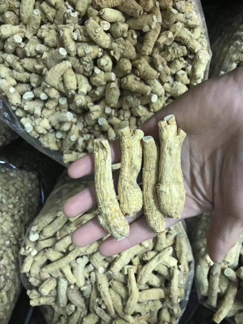 花旗参，加拿大花旗参条