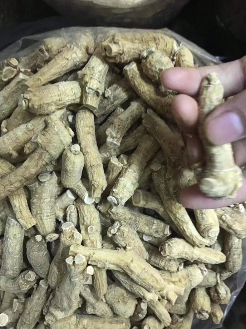 花旗参，加拿大花旗参条