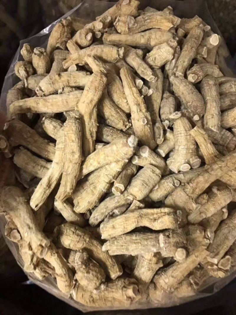 花旗参，加拿大花旗参条