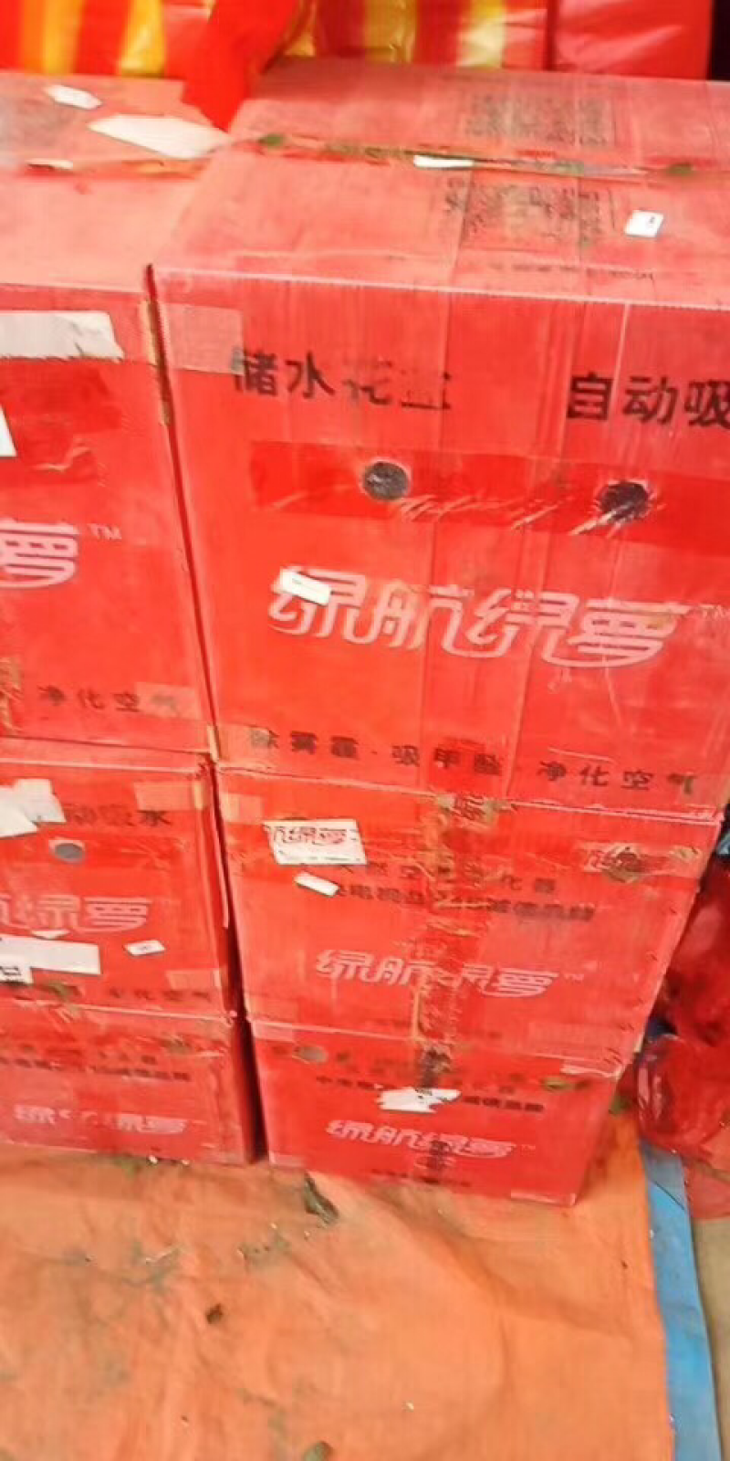 绿萝净化空气原盆发货不包含花架