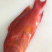 刺身日料食材深海鱼野生钓口鱼海钓鱼