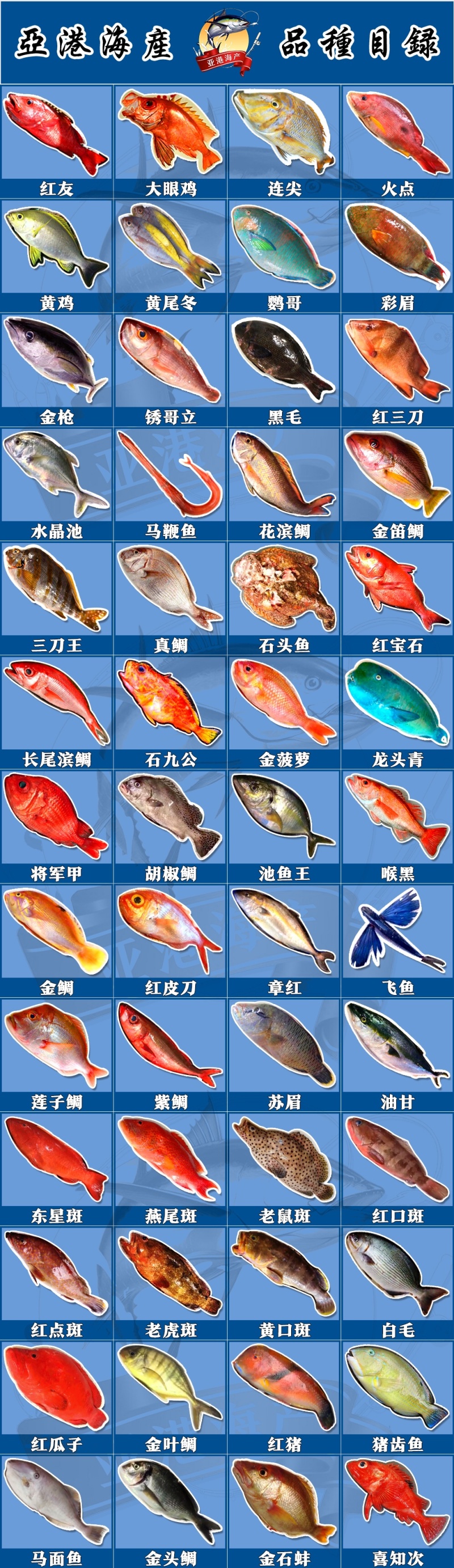 刺身日料食材深海鱼野生钓口鱼海钓鱼