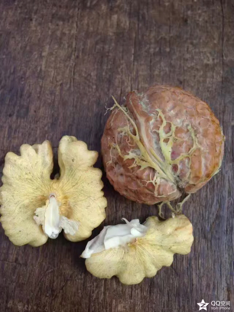 云南薄皮核桃去青皮湿核桃