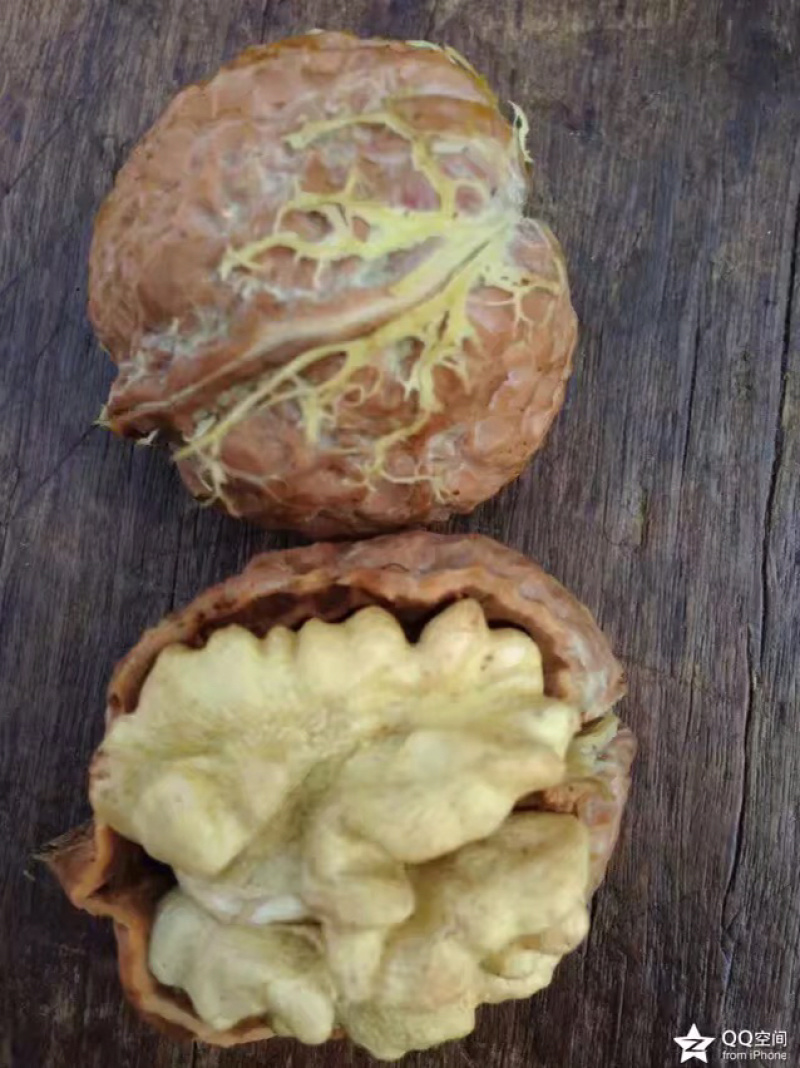 云南薄皮核桃去青皮湿核桃