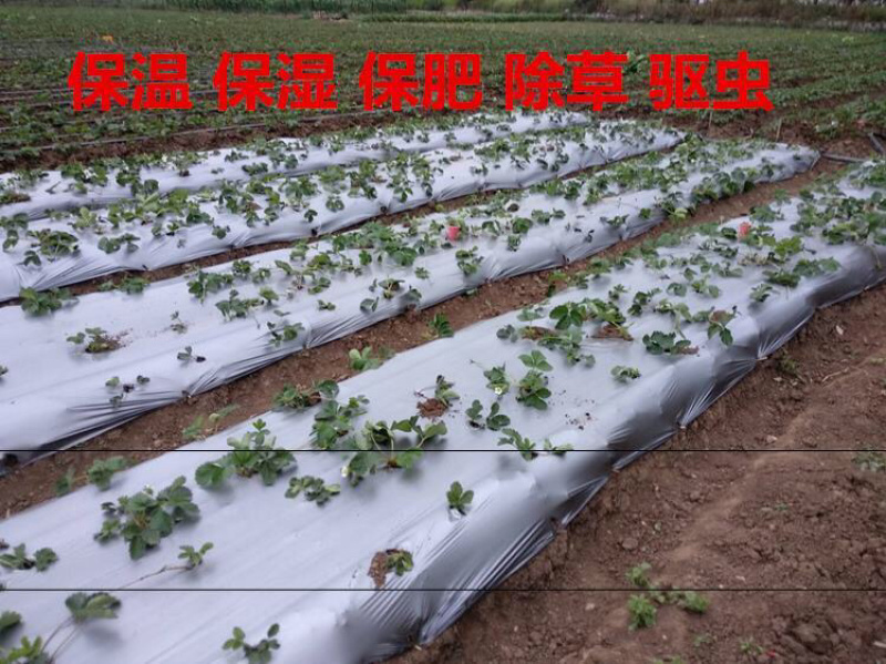银灰色地膜