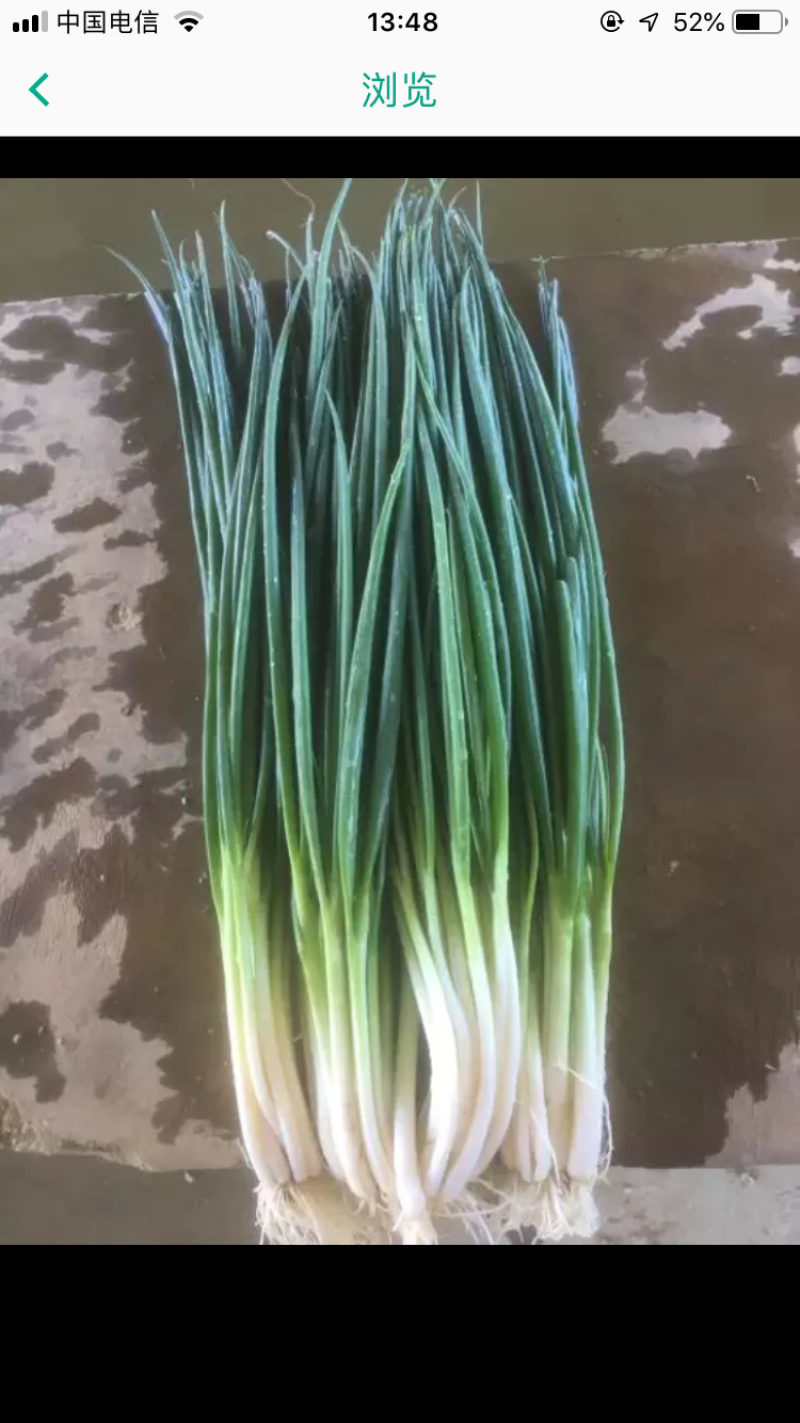 香葱白香葱红香葱