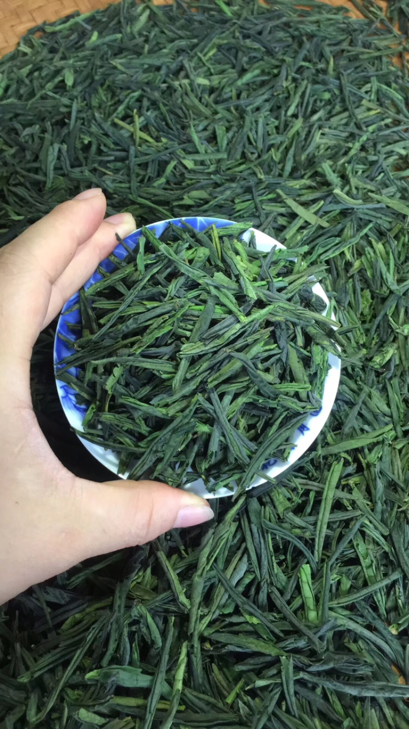 今年新茶明前六安瓜片茶片250g包邮