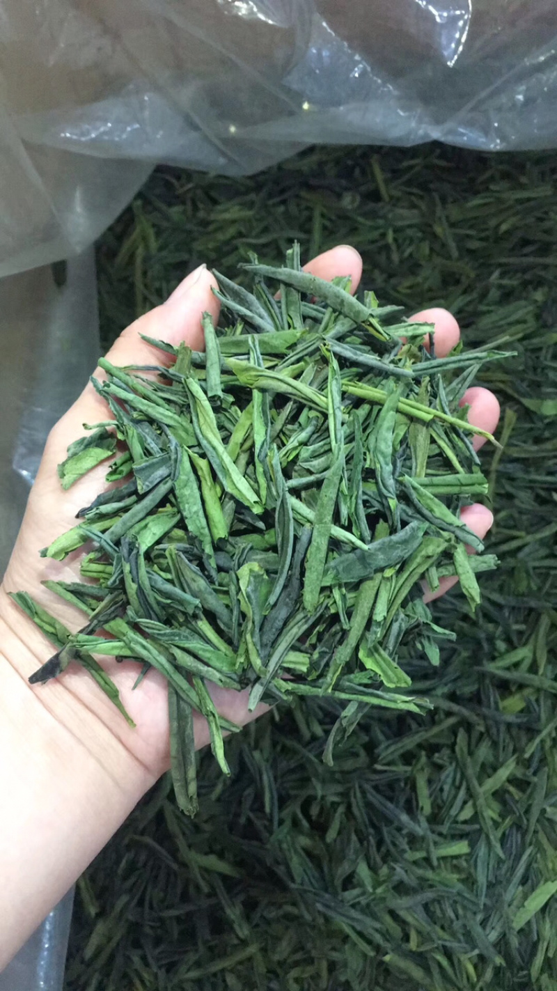 今年新茶明前六安瓜片茶片250g包邮