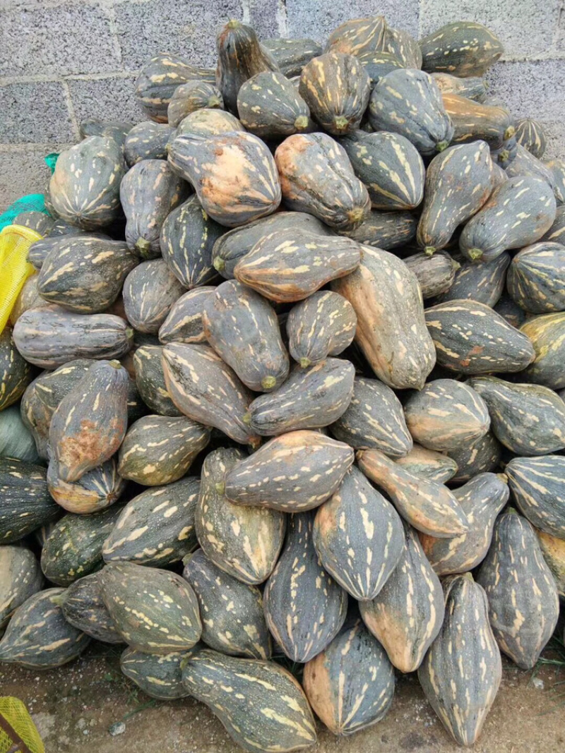 香芋南瓜，品质优良，香味浓郁