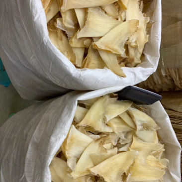 鱼翅，五洋勾7-8寸