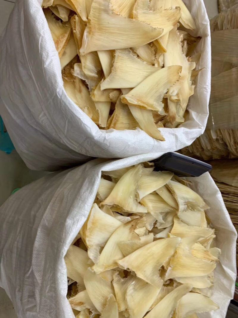 鱼翅，五洋勾7-8寸