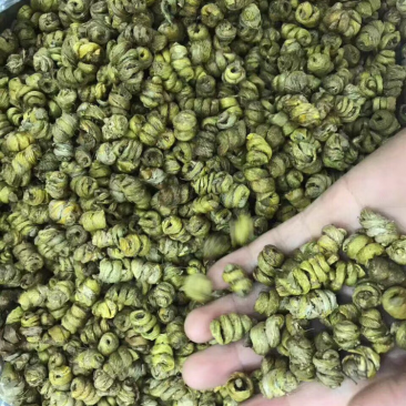 水草石斛/斤