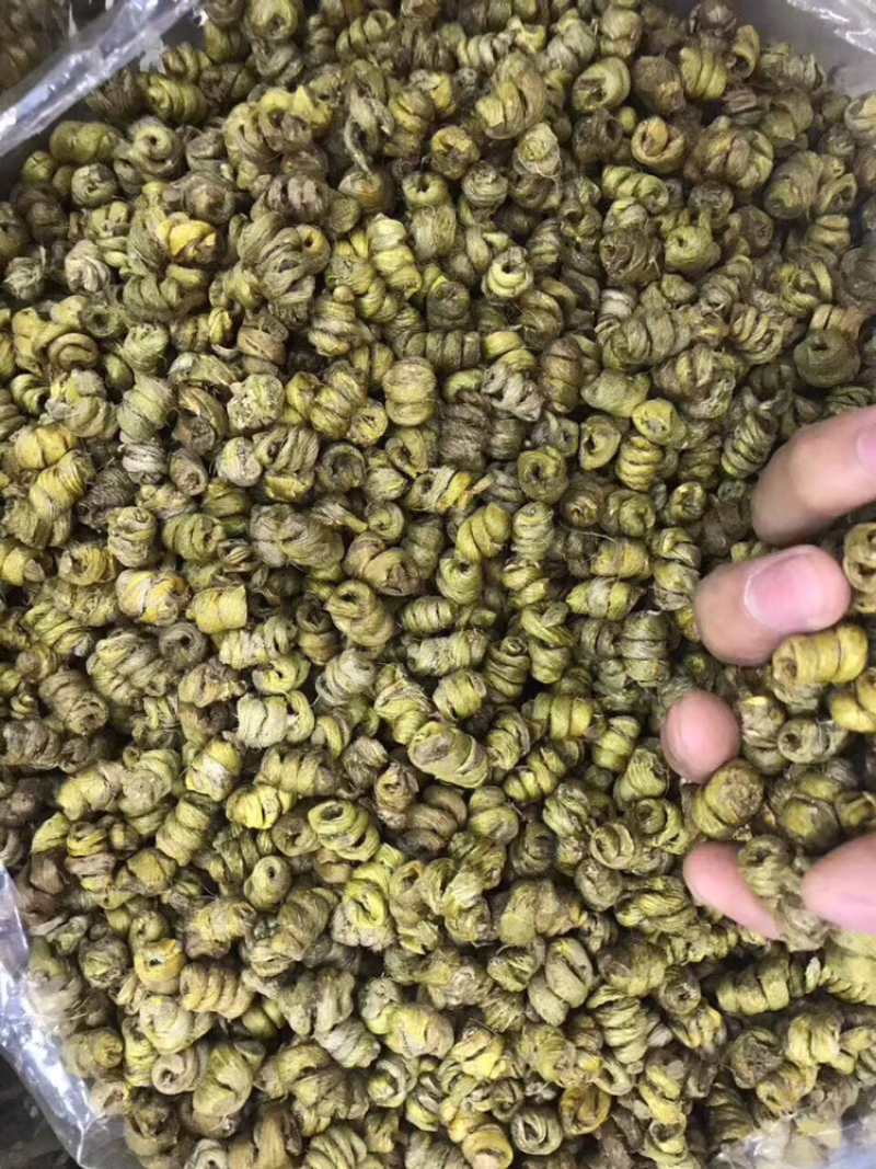 水草石斛/斤