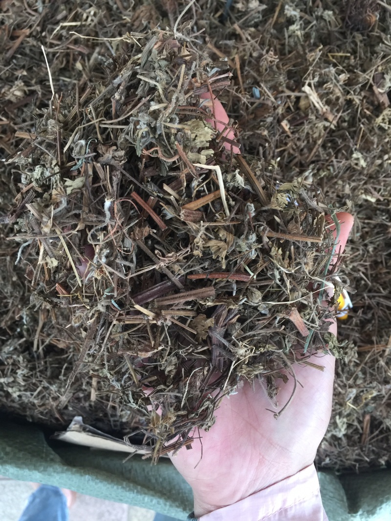 老鹳草老灌草，常年供应，品质好，价格便宜需要电联