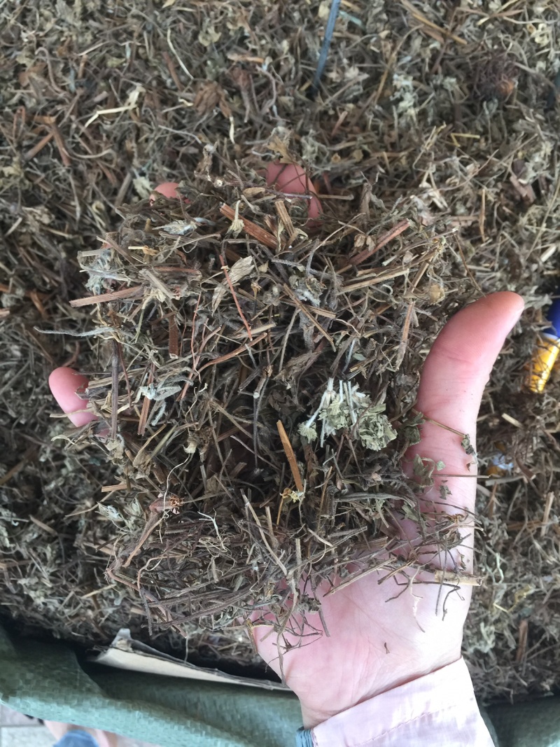 老鹳草老灌草，常年供应，品质好，价格便宜需要电联