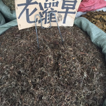 老鹳草老灌草，常年供应，品质好，价格便宜需要电联