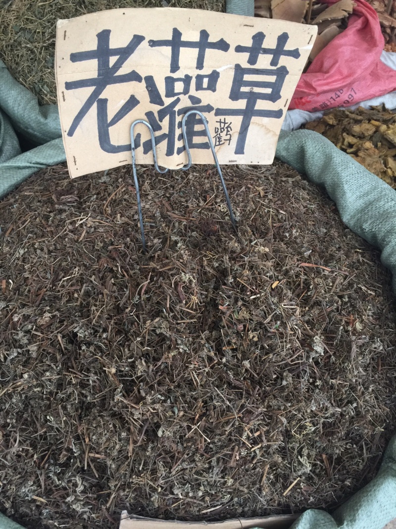 老鹳草老灌草，常年供应，品质好，价格便宜需要电联