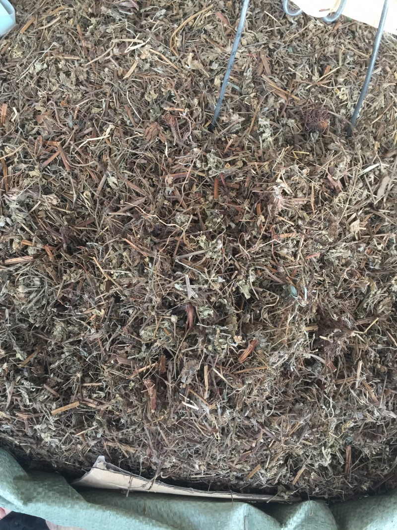 老鹳草老灌草，常年供应，品质好，价格便宜需要电联