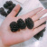 大量黑莓供应量大好谈