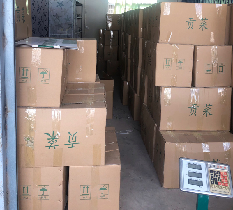 云南贡菜干产地批发10斤装苔干响菜火锅食材预制菜韩国泡菜