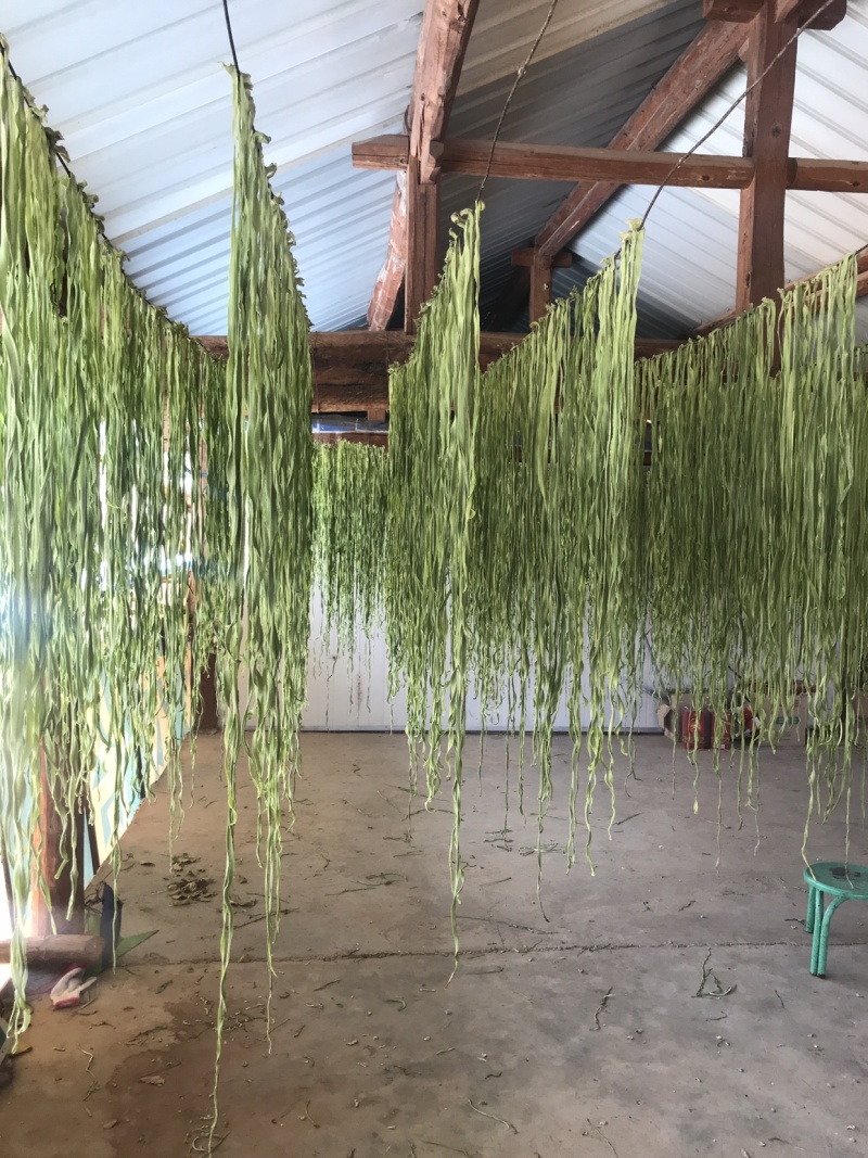 云南贡菜干产地批发10斤装苔干响菜火锅食材预制菜韩国泡菜
