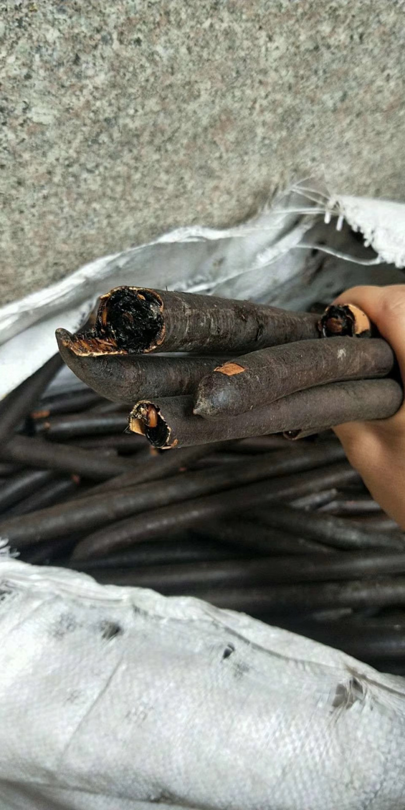 批发中药材便秘果，冷背药材，原料药