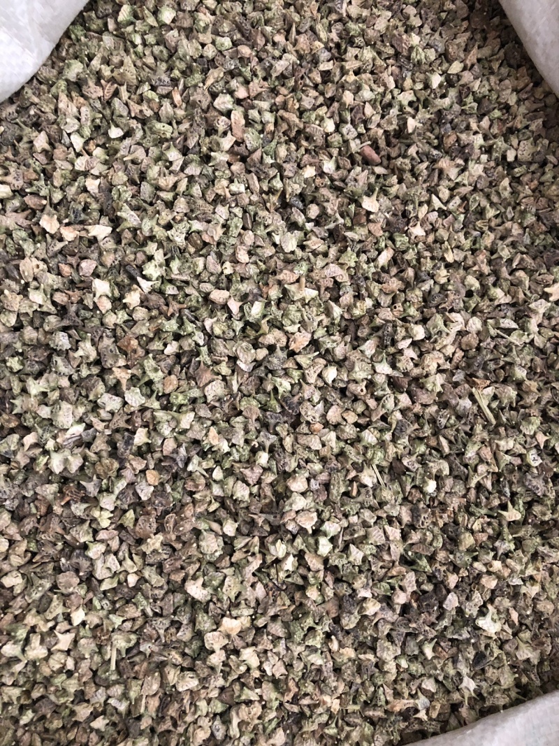 【刺蒺藜】蒺藜新货量大从优物美价廉产地直供