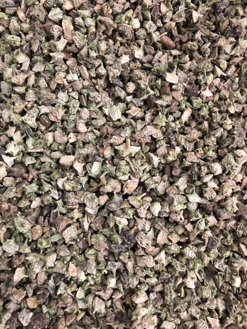 【刺蒺藜】蒺藜新货量大从优物美价廉产地直供