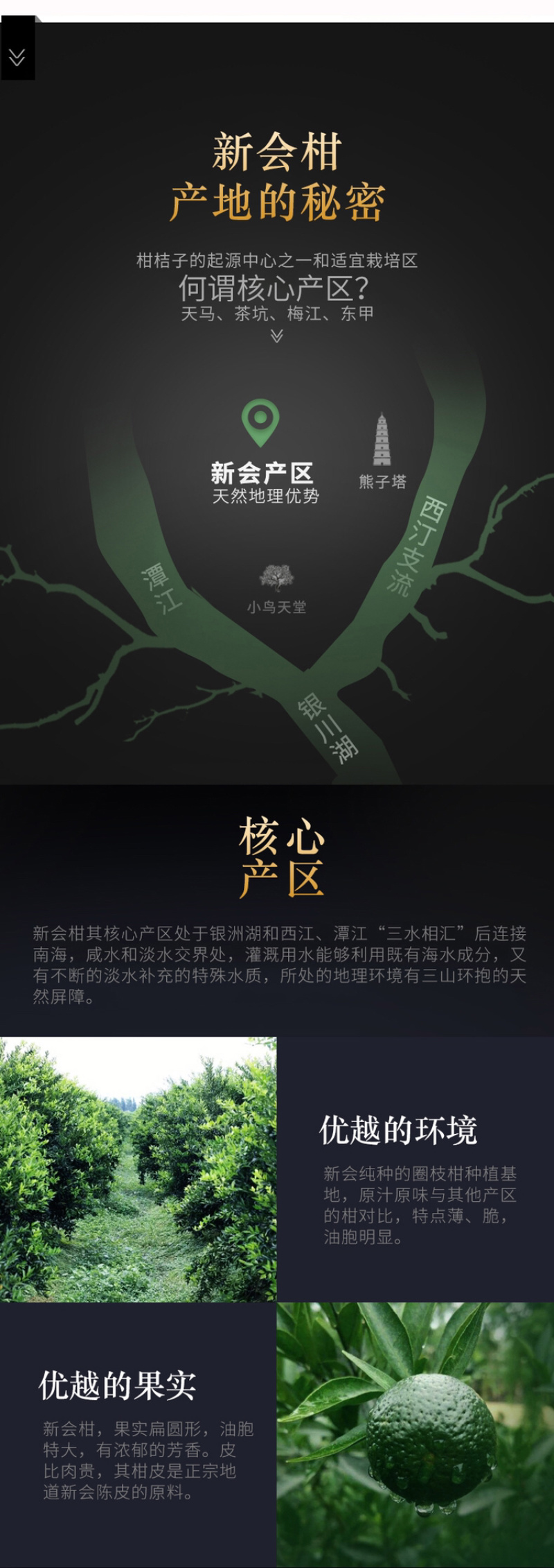 新会小青柑10年陈宫廷陈皮普洱茶叶礼盒装柑普茶250克
