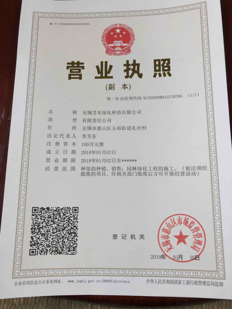 兰花燕尾兰花燕尾种子