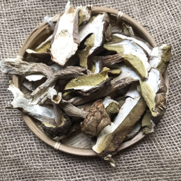 牛肝菌片白牛肝