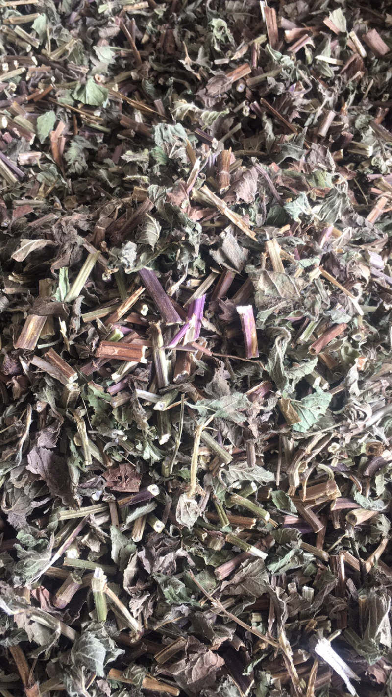 薄荷